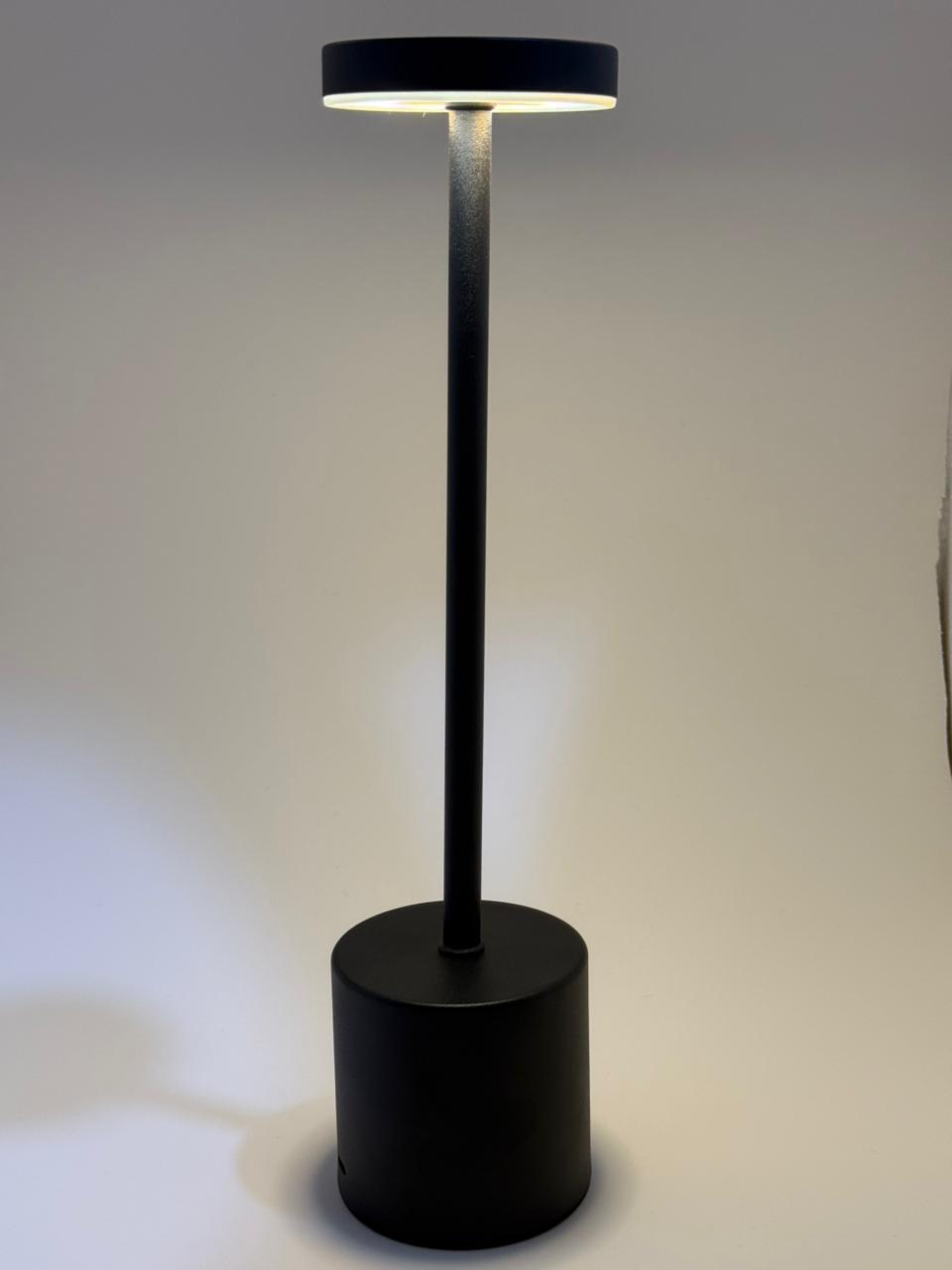 Rechargeable Metal Desk Lamp