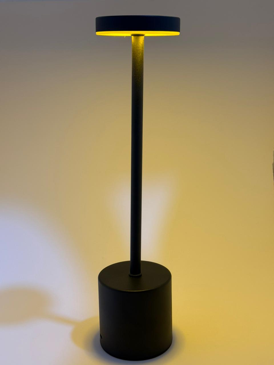 Rechargeable Metal Desk Lamp