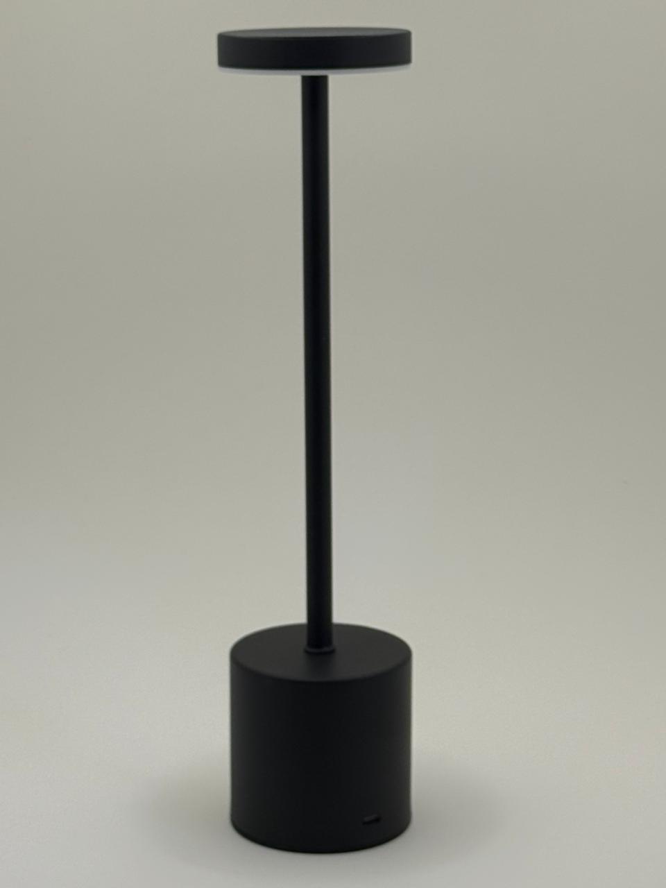 Rechargeable Metal Desk Lamp